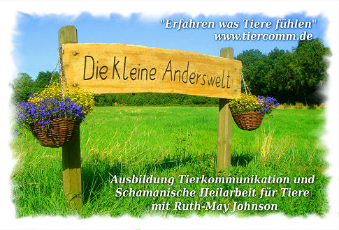 Kurse, Seminare und Intensiv-Ausbildung Tierkommunikation Kurse,
Seminare, Ausbildung im Schamanismus und schamanische Heilarbeit für Tiere mit Ruth-May
Johnson bei Oldenburg in Niedersachsen