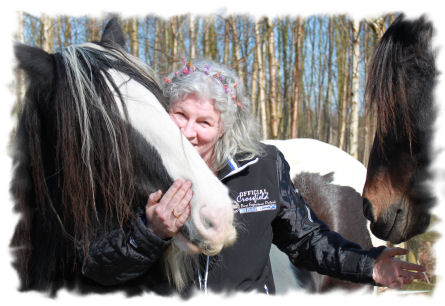 Tierkommunikation Intensiv-Ausbildung und Tierkommunikation Seminare,Pferd,
Hund, Katze, Tierkommunikatorin Ruth-May Johnson, Oldenburg Niedersachsen, Bremen,
Hamburg, NRW